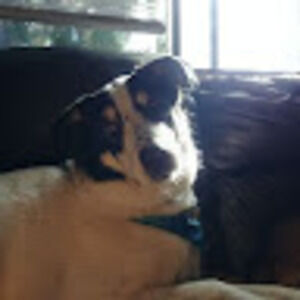 Meet your Posher, Addie